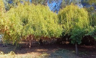 VENDO HERMOSA PARCELA DE 5.000 M2 EN TALCA A 10 KILOMETROS DE LA CARRETERA, CAMINO A SAN CLEMENTE