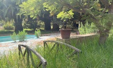 Soñada Parcela de 20.000 m2 con Casa Regularizada