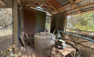 Soñada Parcela de 20.000 m2 con Casa Regularizada