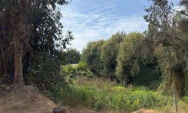 Soñada Parcela de 20.000 m2 con Casa Regularizada