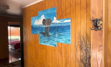 Soñada Parcela de 20.000 m2 con Casa Regularizada