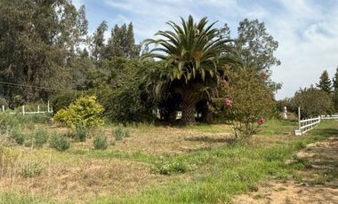 Soñada Parcela de 20.000 m2 con Casa Regularizada