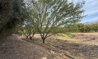 Soñada Parcela de 20.000 m2 con Casa Regularizada