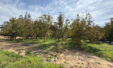 Soñada Parcela de 20.000 m2 con Casa Regularizada