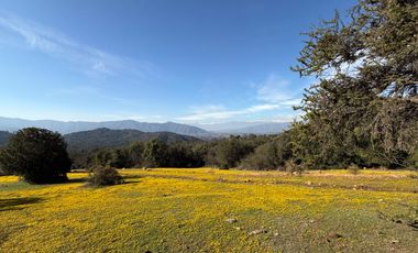Parcelas Semiplanas con Hermosas Vistas en Aculeo