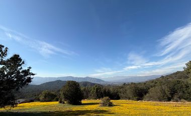 Parcelas Semiplanas con Hermosas Vistas en Aculeo