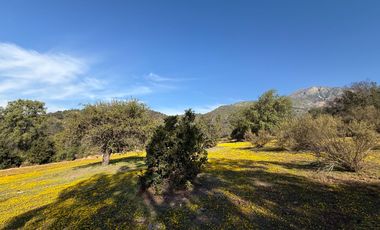Parcelas Semiplanas con Hermosas Vistas en Aculeo