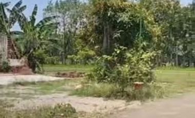 Tanah dijual di Dolopo, Madiun Kabupaten