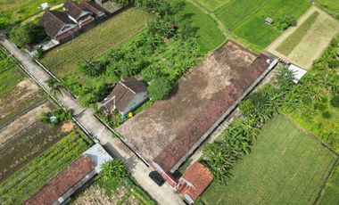 3 Menit Pemda Sleman Pesona Tridadi