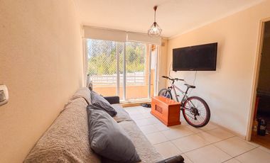 Departamento cercano a UDEC   · Venta UF 3.200