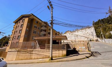 Departamento cercano a UDEC   · Venta UF 3.200