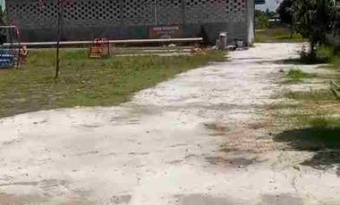 Resto Luas Bonus Kolam Renang di Klaten