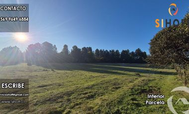 Parcela en Sector Tejeria Pichilluanco, Pinto, Region de Ñuble