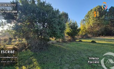 Parcela en Sector Tejeria Pichilluanco, Pinto, Region de Ñuble