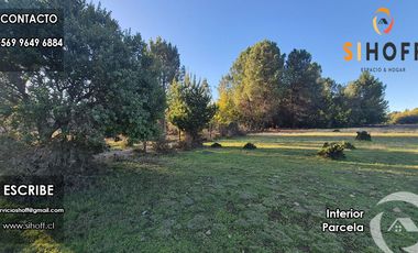 Parcela en Sector Tejeria Pichilluanco, Pinto, Region de Ñuble