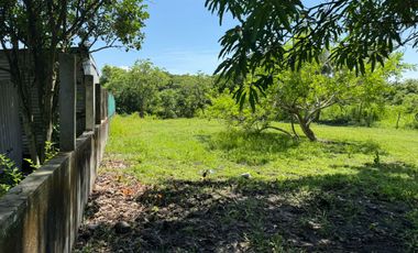 TERRENO EN LAS PUERTAS, ALVARADO EN VENTA DE 800m2