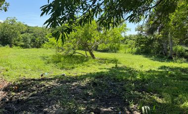TERRENO EN LAS PUERTAS, ALVARADO EN VENTA DE 800m2