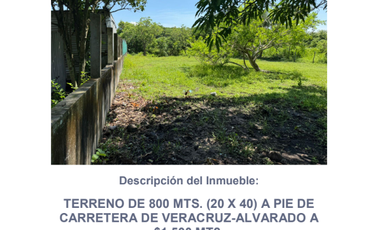 TERRENO EN LAS PUERTAS, ALVARADO EN VENTA DE 800m2