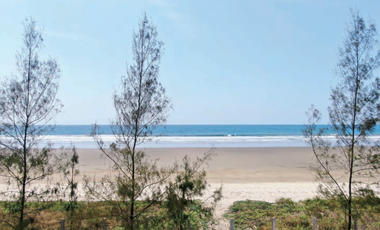 Terrenos de Venta al pie del mar en Olón