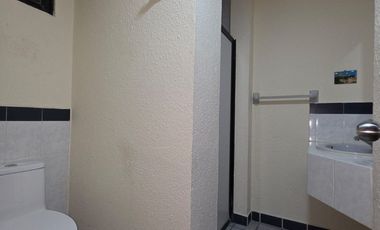 DEPARTAMENTO EN RENTA PASEO USUMACINTA