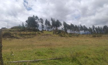 Vendo terreno sector La Merced. Valle de Los Chillos