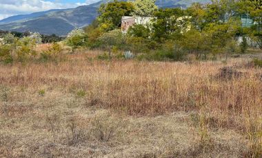 Terrenos exclusivos junto al club de golf en san Agustín etla