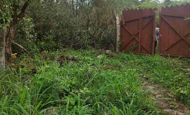 SE VENDE HERMOSO LOTE RN CHINAUTA ANTES DEL PEAJE.