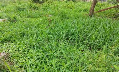 SE VENDE HERMOSO LOTE RN CHINAUTA ANTES DEL PEAJE.