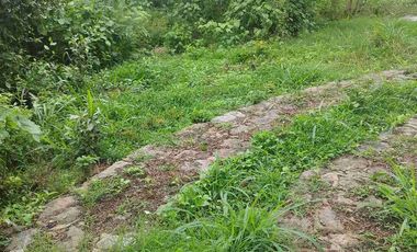 SE VENDE HERMOSO LOTE RN CHINAUTA ANTES DEL PEAJE.