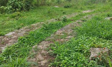 SE VENDE HERMOSO LOTE RN CHINAUTA ANTES DEL PEAJE.