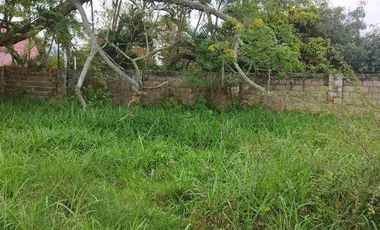 SE VENDE HERMOSO LOTE RN CHINAUTA ANTES DEL PEAJE.