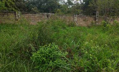 SE VENDE HERMOSO LOTE RN CHINAUTA ANTES DEL PEAJE.