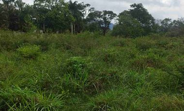 SE VENDE HERMOSO LOTE RN CHINAUTA ANTES DEL PEAJE.