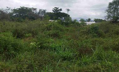 SE VENDE HERMOSO LOTE RN CHINAUTA ANTES DEL PEAJE.