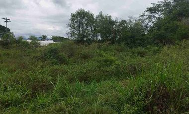 SE VENDE HERMOSO LOTE RN CHINAUTA ANTES DEL PEAJE.