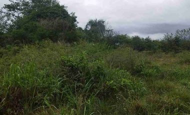 SE VENDE HERMOSO LOTE RN CHINAUTA ANTES DEL PEAJE.