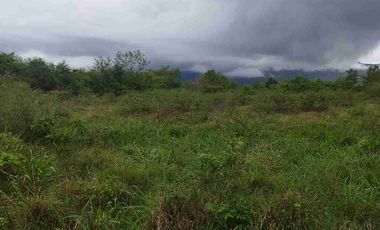 SE VENDE HERMOSO LOTE RN CHINAUTA ANTES DEL PEAJE.