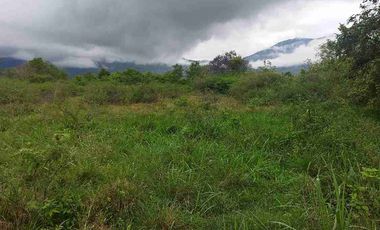 SE VENDE HERMOSO LOTE RN CHINAUTA ANTES DEL PEAJE.