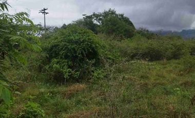 SE VENDE HERMOSO LOTE RN CHINAUTA ANTES DEL PEAJE.