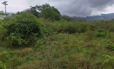 SE VENDE HERMOSO LOTE RN CHINAUTA ANTES DEL PEAJE.