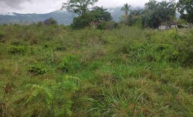 SE VENDE HERMOSO LOTE RN CHINAUTA ANTES DEL PEAJE.