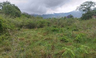 SE VENDE HERMOSO LOTE RN CHINAUTA ANTES DEL PEAJE.