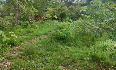 SE VENDE HERMOSO LOTE RN CHINAUTA ANTES DEL PEAJE.