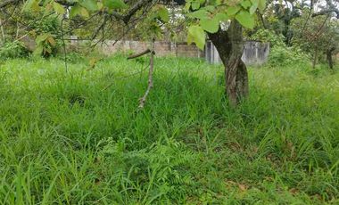 SE VENDE HERMOSO LOTE RN CHINAUTA ANTES DEL PEAJE.