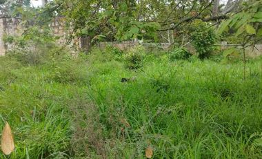 SE VENDE HERMOSO LOTE RN CHINAUTA ANTES DEL PEAJE.