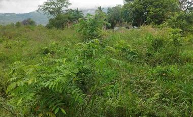 SE VENDE HERMOSO LOTE RN CHINAUTA ANTES DEL PEAJE.