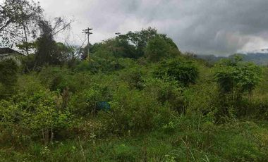 SE VENDE HERMOSO LOTE RN CHINAUTA ANTES DEL PEAJE.