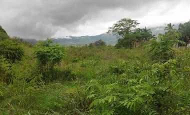 SE VENDE HERMOSO LOTE RN CHINAUTA ANTES DEL PEAJE.