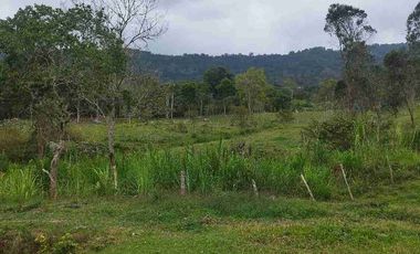 SE VENDE HERMOSA FINCA EN FUSAGASUGA VEREDA EL GUAVIO
