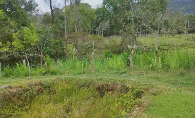SE VENDE HERMOSA FINCA EN FUSAGASUGA VEREDA EL GUAVIO